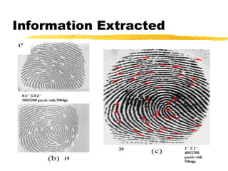 Information Extracted
 