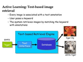 DatabaseText
Interface
Text
Interface
Text-based Retrieval Engine
− Every image is associated with a text annotation
− User poses a keyword
− The system retrieves images by matching the keyword
with annotations
Active Learning: Text-based imageActive Learning: Text-based image
retrievalretrieval
“tiger”
query
tiger lily
white tiger
 