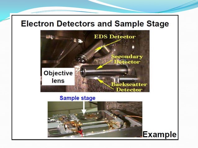 Scanning electron microscopy | PPTX | Chemistry | Science