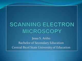 Jessa S. Ariño
    Bachelor of Secondary Education
Central Bicol State University of Education
 