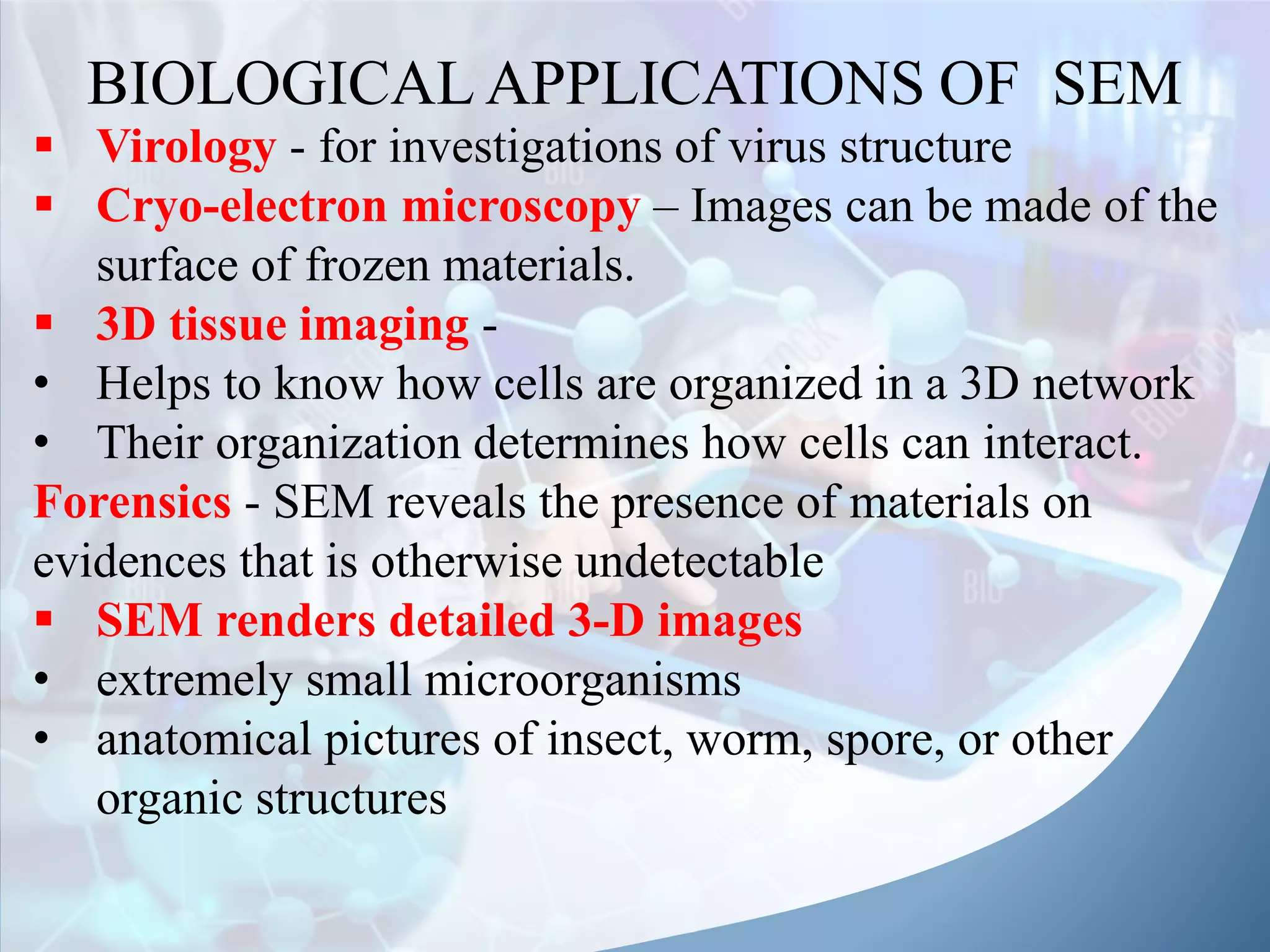 Scanning Electron Microscopy (SEM) | PDF | Geology | Science