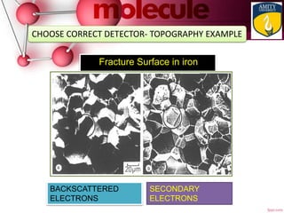 Fracture Surface in iron
SECONDARY
ELECTRONS
BACKSCATTERED
ELECTRONS
CHOOSE CORRECT DETECTOR- TOPOGRAPHY EXAMPLE
 