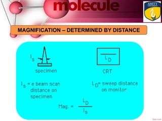 MAGNIFICATION – DETERMINED BY DISTANCE
 