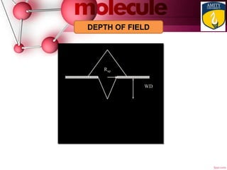 DEPTH OF FIELD
WD
Rap
tana 
Rap
WD
 