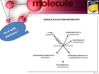 x-rays
composition
backscattered e's
microstructure
secondary e's
microstructure
elastically scattered e's
crystallographic structure
inelastically scattered e's
composition
transmitted e's
microstructure
SIGNALS IN ELECTRON MICROSCOPY
 