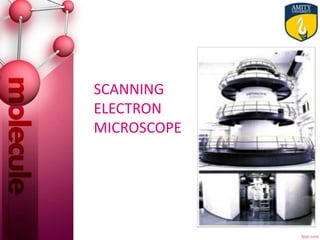 SCANNING
ELECTRON
MICROSCOPE
 