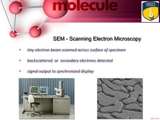 SEM - Scanning Electron Microscopy
• tiny electron beam scanned across surface of specimen
• backscattered or secondary electrons detected
• signal output to synchronized display
 