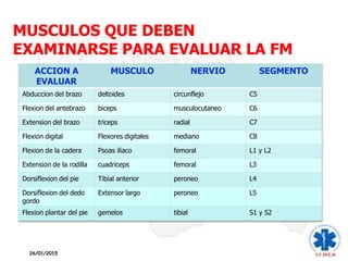 MUSCULOS QUE DEBEN
EXAMINARSE PARA EVALUAR LA FM
ACCION A
EVALUAR
MUSCULO NERVIO SEGMENTO
Abduccion del brazo deltoides circunflejo C5
Flexion del antebrazo biceps musculocutaneo C6
Extension del brazo triceps radial C7
Flexion digital Flexores digitales mediano C8
Flexion de la cadera Psoas iliaco femoral L1 y L2
Extension de la rodilla cuadriceps femoral L3
Dorsiflexion del pie Tibial anterior peroneo L4
Dorsiflexion del dedo
gordo
Extensor largo peroneo L5
Flexion plantar del pie gemelos tibial S1 y S2
26/01/2015
 