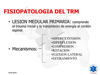 FISIOPATOLOGIA DEL TRM
• LESION MEDULAR PRIMARIA: comprende
el trauma inicial y la transmisión de energía al cordón
espinal.
• Mecanismos:
•HIPEREXTENSION
•HIPERFLEXION
•COMPRESION
•ROTACION
•FLEXION LATERAL
•ESTIRAMIENTO
26/01/2015
 