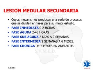 LESION MEDULAR SECUNDARIA
26/01/2015
• Cuyos mecanismos producen una serie de procesos
que se dividen en fases para su mejor estudio.
• FASE INMEDIATA 0-2 HORAS
• FASE AGUDA 2-48 HORAS
• FASE SUB AGUDA 2 DIAS A 2 SEMANAS.
• FASE INTERMEDIA 2 SEMANAS A 6 MESES.
• FASE CRONICA DE 6 MESES EN ADELANTE.
 