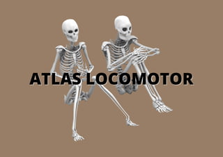 ATLAS LOCOMOTOR
ATLAS LOCOMOTOR
 