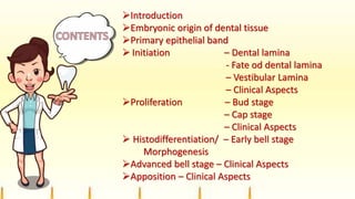 Introduction
Embryonic origin of dental tissue
Primary epithelial band
 Initiation – Dental lamina
- Fate od dental lamina
– Vestibular Lamina
– Clinical Aspects
Proliferation – Bud stage
– Cap stage
– Clinical Aspects
 Histodifferentiation/ – Early bell stage
Morphogenesis
Advanced bell stage – Clinical Aspects
Apposition – Clinical Aspects
 