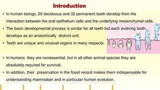 Introduction
• In human beings, 20 deciduous and 32 permanent teeth develop from the
interaction between the oral epithelium cells and the underlying mesenchymal cells.
• The basic developmental process is similar for all teeth but each evolving tooth
develops as an anatomically distinct unit.
• Teeth are unique and unusual organs in many respects.
• In humans they are nonessential, but in all other animal species they are
absolutely required for survival.
• In addition, their preservation in the fossil record makes them indispensable for
understanding mammalian and in particular human evolution.
 