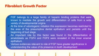 Fibroblast Growth Factor
 FGF belongs to a large family of heparin binding proteins that were
known to mediate the growth and differentiation of cells from a wide
variety of developmental origins.
 At the time of odontogenic initiation this expression becomes restricted to
the area of the presumptive dental epithelium and persists until the
beginning of bud stage.
 An important role by this factor was found in the differentiation of
ameloblasts as FGF4 and FGF9 were revealed in the inner enamel
epithelium .
 Various evidences relevant to role of FGF have greater significance in
understanding the value of its presence in tooth development
 
