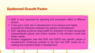 Epidermal Growth Factor
 EGF is very important for signaling and synergistic effect of different
factors.
 It has got a vivid role in development of an embryo and highly
essential for interaction between key players of development .
 EGF signaling would be responsible for activation of major tissues like
submandibular glands and further studies in this direction could hold
better results .
 Another suggestion was that EGF and EGFR has specific values in
development. Evidences pointed to the fact that EGF would be co-
relating and important factor in development
 