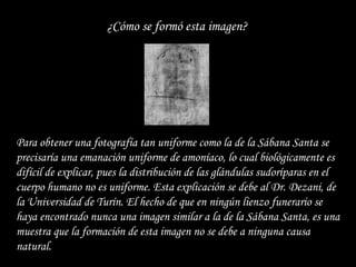 ¿Cómo se formó esta imagen?  Para obtener una fotografía tan uniforme como la de la Sábana Santa se precisaría una emanación uniforme de amoníaco, lo cual biológicamente es difícil de explicar, pues la distribución de las glándulas sudoríparas en el cuerpo humano no es uniforme. Esta explicación se debe al Dr. Dezani, de la Universidad de Turín. El hecho de que en ningún lienzo funerario se haya encontrado nunca una imagen similar a la de la Sábana Santa, es una muestra que la formación de esta imagen no se debe a ninguna causa natural. 