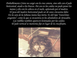 Probablemente Cristo no cargó con la cruz entera, sino sólo con el palo horizontal, atado a los brazos. Por eso en las caídas no pudo poner las manos y dio con la cabeza en el suelo, aplastada por el madero. El peso del madero horizontal pudo ser de unos cincuenta kilos En la cara de la Sábana Santa hay tierra. Es del tipo “travertino-aregenito”, como la que se encuentra en los alrededores de Jerusalén. Las rodillas también aparecen lesionadas por las caídas. El palo vertical se mantenía fijo en lugar de la crucifixión. 