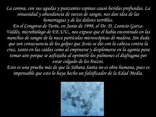 La corona, con sus agudas y punzantes espinas causó heridas profundas. La sinuosidad y abundancia de surcos de sangre, nos dan idea de las hemorragias y de los dolores terribles. En el Congreso de Turín, en Junio de 1998, el Dr. D. Leoncio Garza-Valdés, microbiólogo de EE.UU., nos expuso que él había encontrado en las manchas de sangre de la nuca partículas microscópicas de madera. Sin duda que son consecuencia de los golpes que Jesús se dio con la cabeza contra la cruz, tanto en las caídas como al empinarse y desplomarse en la agonía para tomar aire porque se asfixiaba al oprimirle los pulmones el diafragma por estar colgado de los brazos. Esto es una prueba más de que la Sábana Santa no es obra humana, pues es impensable que esto lo haya hecho un falsificador de la Edad Media. 