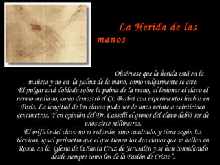   La Herida de las manos     Obsérvese que la herida está en la muñeca y no en  la palma de la mano, como vulgarmente se cree. El pulgar está doblado sobre la palma de la mano, al lesionar el clavo el nervio mediano, como demostró el Cr. Barbet con experimentos hechos en París. La longitud de los clavos pudo ser de unos veinte a veinticinco centímetros. Y en opinión del Dr. Casselli el grosor del clavo debió ser de unos siete milímetros. El orificio del clavo no es redondo, sino cuadrado, y tiene según los técnicos, igual perímetro que el que tienen los dos clavos que se hallan en Roma, en la  iglesia de la Santa Cruz de Jerusalén y se han considerado desde siempre como los de la Pasión de Cristo”. 