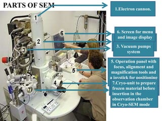1.Electron cannon.
2. Electro-magnetic
lenses to focus the
electron beam .3. Vacuum pumps
system
.
4.Opening to insert the
object into the high-
vacuum observation
chamber.
5. Operation panel with
focus, alignment and
magnification tools and
a joystick for positioning
of the sample.
6. Screen for menu
and image display
7.Cryo-unit to prepare
frozen material before
insertion in the
observation chamber
in Cryo-SEM mode
PARTS OF SEM
 
