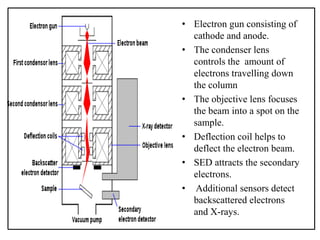 • Electron gun consisting of
cathode and anode.
• The condenser lens
controls the amount of
electrons travelling down
the column
• The objective lens focuses
the beam into a spot on the
sample.
• Deflection coil helps to
deflect the electron beam.
• SED attracts the secondary
electrons.
• Additional sensors detect
backscattered electrons
and X-rays.
 