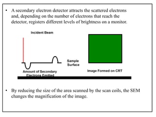 • A secondary electron detector attracts the scattered electrons
and, depending on the number of electrons that reach the
detector, registers different levels of brightness on a monitor.
• By reducing the size of the area scanned by the scan coils, the SEM
changes the magnification of the image.
 