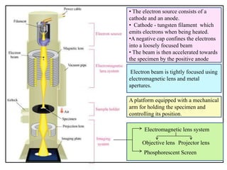 • The electron source consists of a
cathode and an anode.
• Cathode - tungsten filament which
emits electrons when being heated.
•A negative cap confines the electrons
into a loosely focused beam
• The beam is then accelerated towards
the specimen by the positive anode
Electron beam is tightly focused using
electromagnetic lens and metal
apertures.
A platform equipped with a mechanical
arm for holding the specimen and
controlling its position.
Electromagnetic lens system
Phosphorescent Screen
Objective lens Projector lens
 