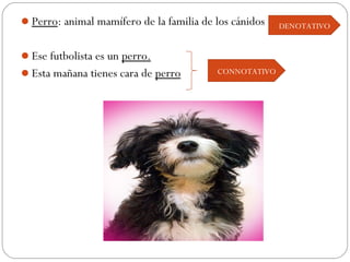 Perro: animal mamífero de la familia de los cánidos   DENOTATIVO


Ese futbolista es un perro.
Esta mañana tienes cara de perro        CONNOTATIVO
 