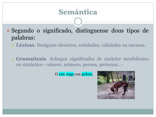 Semántica
 Segundo o significado, distínguense dous tipos de
palabras:
 Léxicas. Designan obxectos, entidades, calidades...