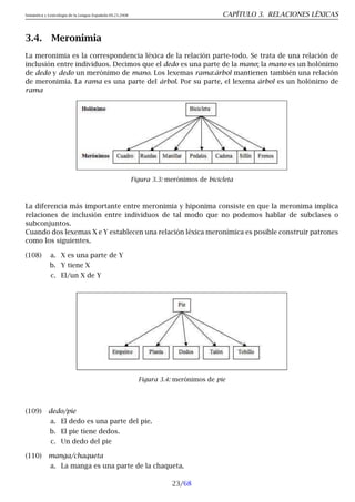 Semántica y Lexicología de la Lengua Española 09.23.2008 CAPÍTULO 3. RELACIONES LÉXICAS
3.4. Meronimia
La meronimia es la correspondencia léxica de la relación parte-todo. Se trata de una relación de
inclusión entre individuos. Decimos que el dedo es una parte de la mano; la mano es un holónimo
de dedo y dedo un merónimo de mano. Los lexemas rama:árbol mantienen también una relación
de meronimia. La rama es una parte del árbol. Por su parte, el lexema árbol es un holónimo de
rama
Figura 3.3: merónimos de bicicleta
La diferencia más importante entre meronimia y hiponima consiste en que la meronima implica
relaciones de inclusión entre individuos de tal modo que no podemos hablar de subclases o
subconjuntos.
Cuando dos lexemas X e Y establecen una relación léxica meronímica es posible construir patrones
como los siguientes.
(108) a. X es una parte de Y
b. Y tiene X
c. El/un X de Y
Figura 3.4: merónimos de pie
(109) dedo/pie
a. El dedo es una parte del pie.
b. El pie tiene dedos.
c. Un dedo del pie
(110) manga/chaqueta
a. La manga es una parte de la chaqueta.
23/68
 