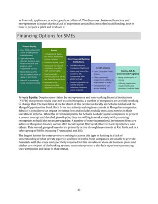 Social Entrepreneurship Ecosystem Report in Mongolia | PDF