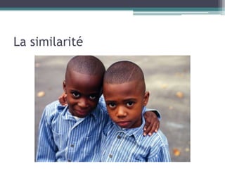 La similarité
 