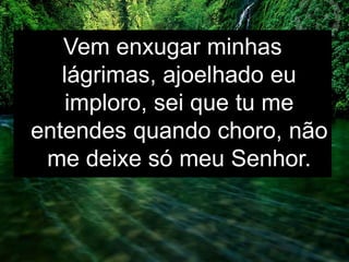 Vem enxugar minhas
lágrimas, ajoelhado eu
imploro, sei que tu me
entendes quando choro, não
me deixe só meu Senhor.
 