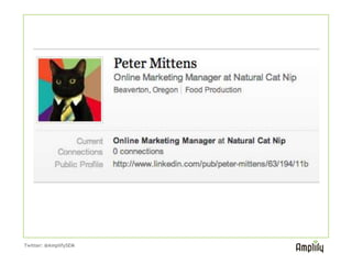 This is our persona for this story.
  Peter is going through the process of
  setting up his first PPC campaigns.

Twitter: @AmplifySEM
 