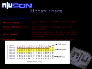 Bitmap image The File Structure BMP File Header Stores general information about the BMP file. Bitmap Information  (DIB header) Stores detailed information about the bitmap image. Color Palette Stores the definition of the colors being used for indexed color bitmaps. (At times not needed) Bitmap Data Stores the actual image, pixel by pixel. 