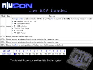 The BMP header This is intel Processor  so Use little Endian system 