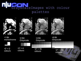 GrayscaleImages with colour palettes 1 Bit monochrome 2 Bit Grayscale 4 Bit Grayscale 8 Bit Grayscale 2 1  = 2 colours 2 2  = 4 colours 2 4  = 16 colours 2 8  = 256 colours 