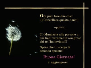 O ra puoi fare due cose:  1) Cancellare questa e-mail    oppure...  2 ) Mandarla alle persone a cui tieni veramente compreso chi te l’ha inviata!!! Spero che tu scelga la seconda opzione!  Buona Giornata!   e  aggiungerei 