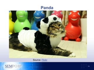 Panda
14
Source: Flickr
 
