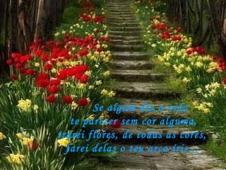       Se algum dia a vida  te parecer sem cor alguma, trarei flores, de todas as cores,    farei delas o teu arco-íris...   