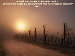 Aprendi  que perdoar exige muita prática. Que há muita gente que gosta de mim, mas não consegue expressar isso. 