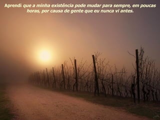 Aprendi  que a minha existência pode mudar para sempre, em poucas horas, por causa de gente que eu nunca vi antes. 