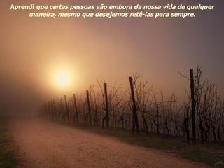 Aprendi  que certas pessoas vão embora da nossa vida de qualquer maneira, mesmo que desejemos retê-las para sempre. 
