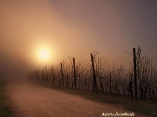 Autoria desconhecida 