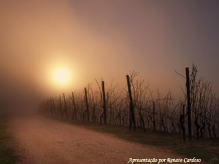 Apresentação por Renato Cardoso 