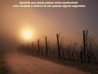 Aprendi  que posso passar anos construindo  uma verdade e destruí-la em apenas alguns segundos. 