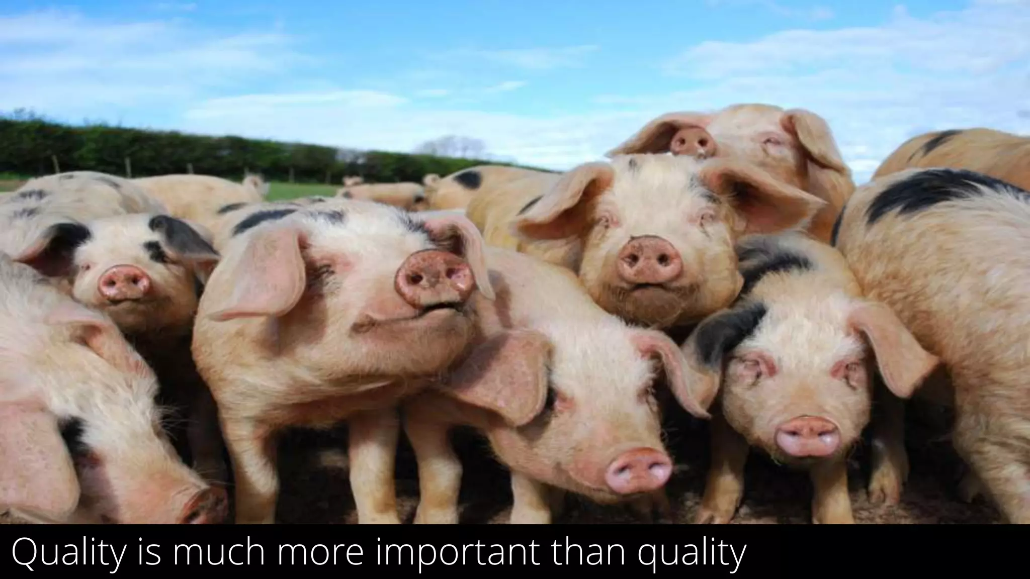 6
Quality is much more important than quality
 