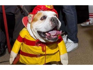 “We do not need to burn books to kill our civilization; we need only to leave them unread for a generation.”—R. M. Hutchins