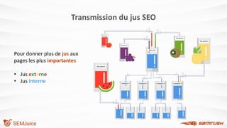 Transmission du jus SEO
Pour donner plus de jus aux
pages les plus importantes
• Jus externe
• Jus interne
 