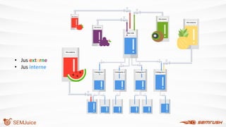 • Jus externe
• Jus interne
 